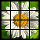 Photo Puzzle Game with AdMob - Mobile / Android