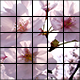 Puzzle Game with AdMob - Mobile / Android