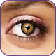 Lenses Virtual Try on Popup Plugin | WooCommerce WordPress