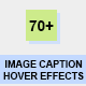 Image Caption Hover Effects - WordPress / Galleries