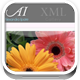 jQuery XML Media Gallery - JavaScript / Images and Media