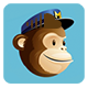 MailChimp Subscribe PHP Class Form - PHP Scripts