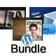 Bundle FlipBook WordPress Plugin - WordPress / Utilities