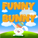 Funny Bunny - HTML5 / Games