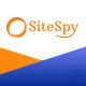 SiteSpy - The Most Complete Visitor Analytics & SEO Tools (SaaS) - PHP Scripts / Ratings and Charts