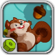 Going Nuts - HTML5 Physics Game - HTML5 / Games