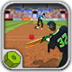 Cricket Batter Challenge - HTML5 Sport Game - HTML5 / Games