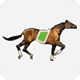 HorseRace module for PaidVids - Plugins / Miscellaneous
