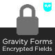 Gravity Forms Encrypted Fields - WordPress / Add-ons