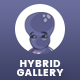Hybrid Gallery | Visual Gallery Plugin for WordPress - WordPress / Galleries