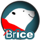 Brice on ice - HTML5 / Games