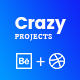 CrazyProjects - Dribbble & Behance projects showcase - WordPress / Utilities