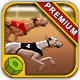 Greyhound Racing - HTML5 Casino Game - HTML5 / Games