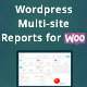 WordPress Multi-site Reports - WordPress / eCommerce / WooCommerce