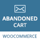 Abandoned Cart Email for WooCommerce - WordPress / eCommerce / WooCommerce