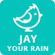 Jay - falling snow, leaves, halloween pumpkin etc - WordPress