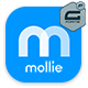 Gravity Forms Mollie Payment Add-On - WordPress / Forms