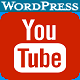 YouTube Video Mass Poster and Pinner - WordPress / Miscellaneous