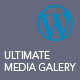 Modern Video Player for Wordpress - WordPress / Media