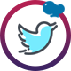 WPBakery Page Builder - Twitter Feed Grid With Carousel - WordPress / Add-ons