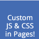 Custom JavaScript & CSS in Pages! - WordPress / Utilities