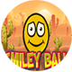 Smiley Ball - HTML5 Javascript game(Construct 2 | Construct 3 both version included) - HTML5 / Games