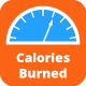 MWP Calories Burned By Exercises Calculator - WordPress / Forms