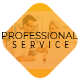 Professional Service Ad Banners - HTML5 / Ad Templates