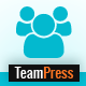 TeamPress - Team Showcase plugin - WordPress / Interface Elements
