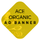 Ace Organic Google Ad Template - HTML5 / Ad Templates