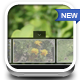 Exclusive Full Page-Fullscreen jQuery XML Gallery - JavaScript / Images and Media