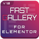Fast Gallery for Elementor WordPress Plugin - WordPress / Add-ons