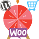 Spider Spin2Win WooCommerce Coupon Code - WordPress / eCommerce / WooCommerce
