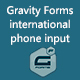 Gravity Forms international phone input - WordPress / Add-ons