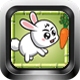 Carrot Frenzy Game v1 (Construct | C3P | CAPX | HTML5) Platformer Game - HTML5 / Games
