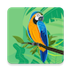 Live Wallpapers Android App - In-app Purchases - Mobile / Android