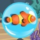 Find The Fish - HTML5 Construct 2 Game (.Capx) - HTML5 / Games
