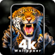 4K HD Wallpaper Offline | Wallpaper HD - Offline | Android App | Admob Ads - Mobile / Android