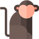 Memorized! - HTML5 / Games