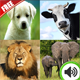 Animal Sounds Educational Learning Android App - Mobile / Android