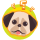Dogs Quiz | Html5 Game | Educational Games - HTML5 / Games
