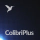 ColibriPlus - The Social Network Web Application - PHP Scripts / Social Networking