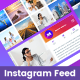 Instagram Feed For Elementor - WordPress / Galleries