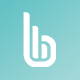 Proxy Verifier Bindlex - Filter working proxies fast - Apps / Windows