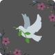 Necrologi - VIP & Local Obituaries - PHP Scripts / Miscellaneous