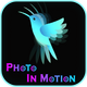 Photo in motion complete android app source code with admob ads integration - Mobile / Android