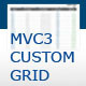 .NET CUSTOM GRID - .NET / Add-ons