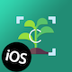 High Accuracy Plant Identifier- iOS App That Uses Machine Learning Model To Identify All Plants - Mobile / iOS