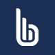Bindlex Business Finder - Advanced program for extracting business data. - Apps / Windows
