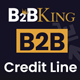 B2BKing Company Credit - WooCommerce Line of Credit System (Add-on) - WordPress / eCommerce / WooCommerce